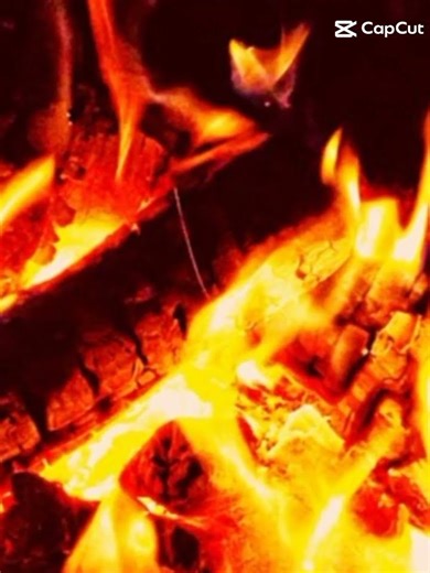 Api gw🔥🔥😌🤭#boboiboy #punyaku #boboiboyblaze