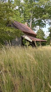 48K views · 2.1K reactions | Found along the backroads of Franklin County, North Carolina | The Forgotten South | Facebook