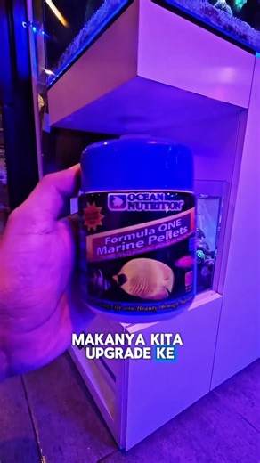 Pelet sembarangan = air kotor + ikan stres Makanya di Nano Tank Pelajar kita upgrade peletnya