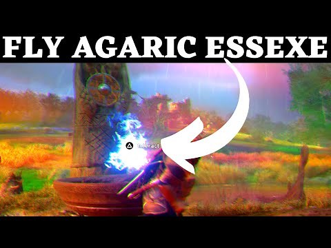 Fly Agaric Essexe AC Valhalla QUICK GUIDE Fly Agaric Mushroom Essex Mystery Assassins Creed
