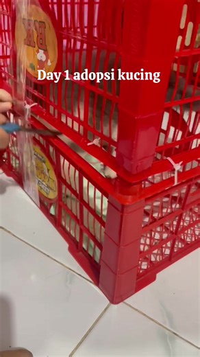 Perjalanan Dari Bandung ke Bekasi Untuk Adopsi Kucing