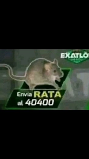 envia rata al 40400