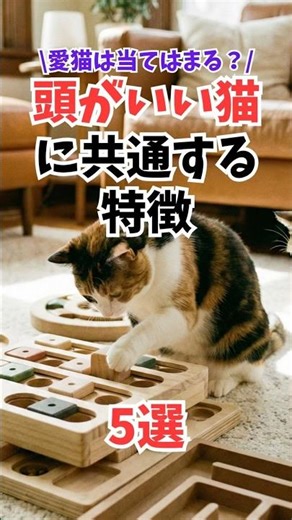 5 Behavioral Characteristics of Smart Cats #HumanCatAlliance #CatLife #AboutCats