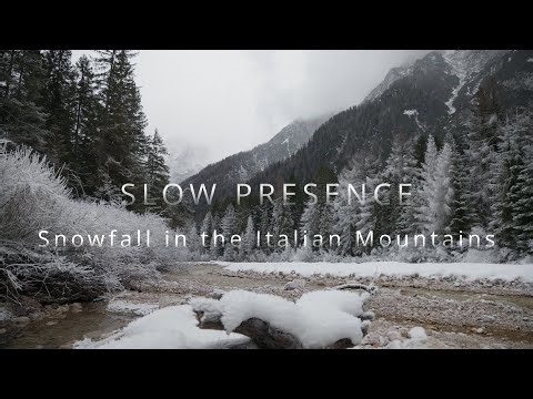 Snowfall in the Mountains | Calm Winter Nature Sounds · Slow Presence