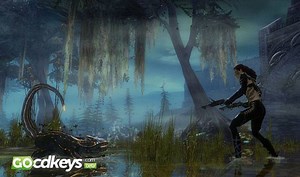 Guild Wars 2 Mac Digital Download