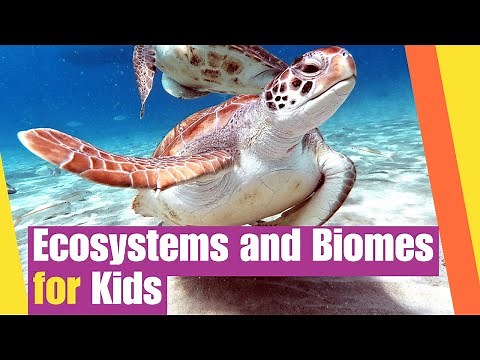 Ecosystems and Biomes for Kids | Earth Science Lesson | Lesson Boosters Science Vdieo