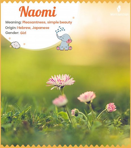 Naomi Baby Name Meaning: A Comprehensive Guide