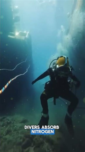 Why Divers Must Quickly Enter a Decompression Chamber After Surfacing