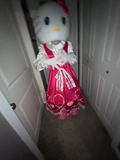 Hello Kitty: A Dance Celebration for Fans