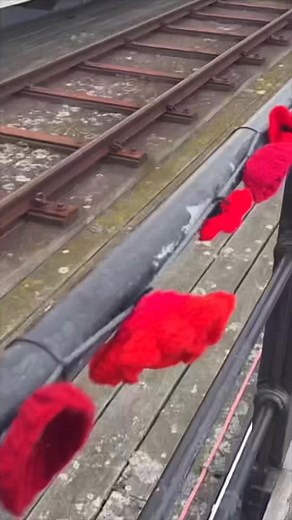 POPPIES ON THE PIER OPENS IN SOUTHEND All over South Essex, people have been knitting and crocheting poppies and then sewing them all together for a display stretching all the way down the 1.33 miles of Southend Pier, and then back again! This spectacular Remembrance display is open to the public until November 16th 2025, with more than 110,000 poppies - we tried to see as many of them as possible today. A massive ‘well done’ to everyone who made this happen, from creating the poppies to install