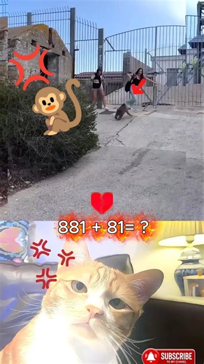 He only has one job 😂 #viral