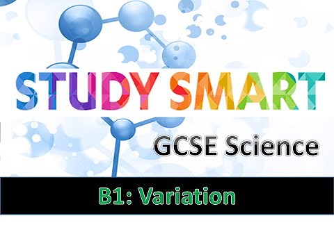 B1 Variation (EDEXCEL/AQA)