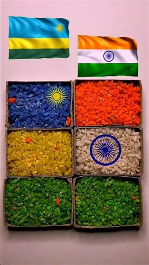 Unique Flag Rice Art 🇷🇼🇮🇳 | Creative Challenge Shorts #shorts #viral #art #flag