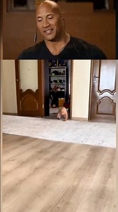 The rock reaction to viral videos part 39 #funny #artrockreactions #funnyvideo #memes #react #comedy