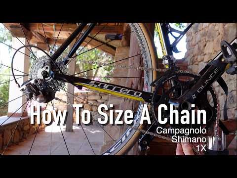 How to size a chain correctly
