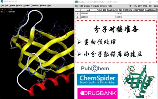 MOE分子对接准备—蛋白和小分子预处理
