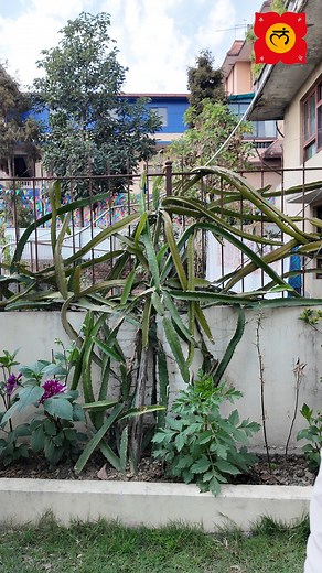 239 reactions · 35 comments | Join a community of passionate...