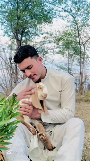 zargy de deer khkuly da 😅. #fypシ゚viral #funny #foryou #foryourpage #shayankhann10 #viralvideo #unfreezemyacount