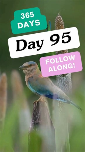 365 Day Daily Scriptures & Prayers | Day 95 Prayer for Daily Dependence on God