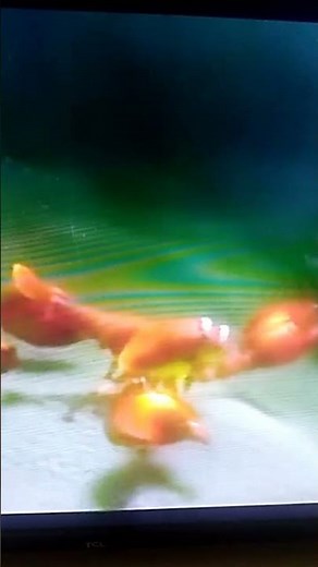 Finding Nemo (2003) voice actor Andrew Stanton as Lobster