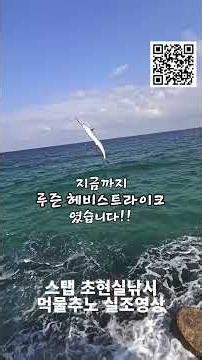 헤비스트라이크 1002MH 129g 씨배스 농어 삼치 인쇼어 바다루어낚시대 #루어낚시 #바다낚시 #열기낚시