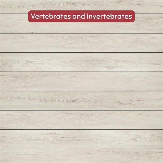 Animal Classification Unit Study Worksheets, Activities, With Classes of Vertebrates and Invertebrates, Animal Diets Homeschool Science - Etsy Australia