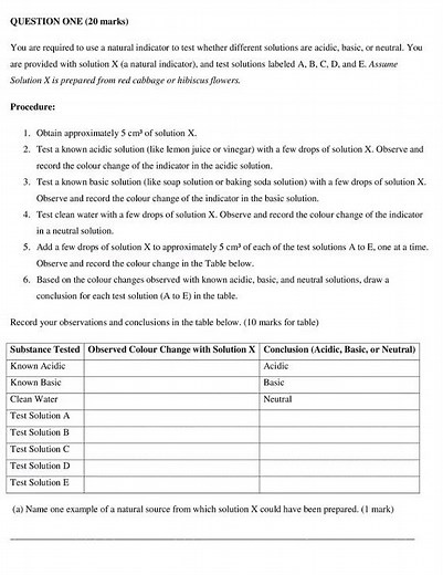 Grade 8 Integrated Science Paper 2 End of Term 2 2025 Exam with Marking Scheme
