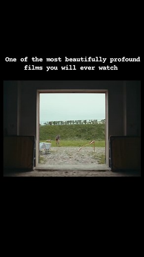 Cinema Of The World on Instagram: "EO (2022) is road drama film directed by Jerzy Skolimowski. The film tells the story of a donkey who gets taken away forcibly from his owner and treads a rough path attempting to survive in a world beyond his knowledge. Inspired by Robert Bresson's 1966 film Au Hasard Balthazar, This is one of the most visually inventive films. Ecstatic and heartbreaking, this dazzling drama that presents the follies and triumphs of humankind from the perspective of its four-le