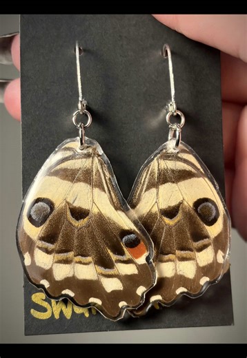 Eyespot mimicry but make it adorable✨ These are one of the new pairs of insect wing earrings I just released on my website! If you're interested but don't see shipping to your area, please DM me so I can add your location! #insectart #butterflyearrings #handmadejewelry #oddities #mimicry