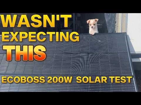 ECOBOSS 200W Rigid Panel – Unboxing & Winter Performance Test