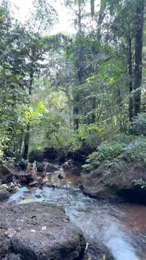 #Waterfall Bath: Relaxing Nature Sounds & Safe Chilling Spot