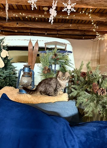 Have you seen our 1865 barn studio? 🩵 | Sharp Farm