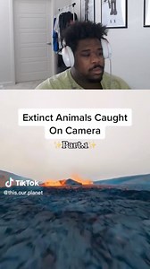 218K views · 3.1K reactions | Extinct Animals Caught On Camera! | Kam Noony | Facebook