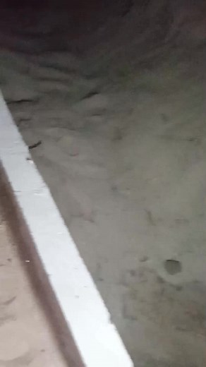 2.6M views · 16K reactions | Así va quedado la calle de santa regina . Un desastre aparte de eso un peligro.  | Adriana Rivas Moraes | Facebook