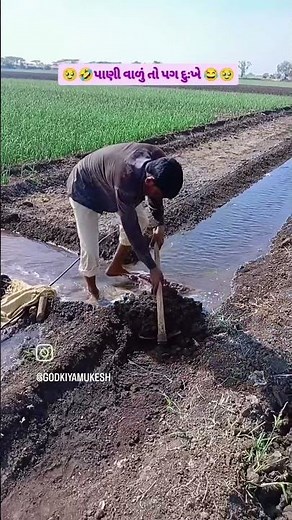 🤣😭ભાગીદાર નિ વેદના 🤣😂 #agriculture #kisan #farming #farmer #khetibadi #shorts #reels #viral #song