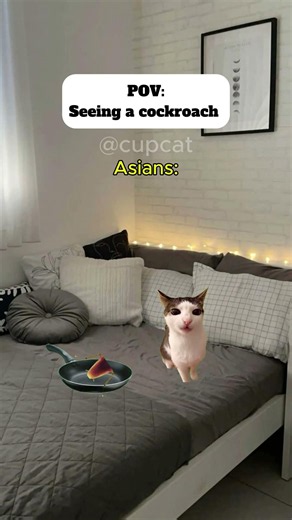 POV: Seeing a cockroach 😂😂 #catmemes #relatable