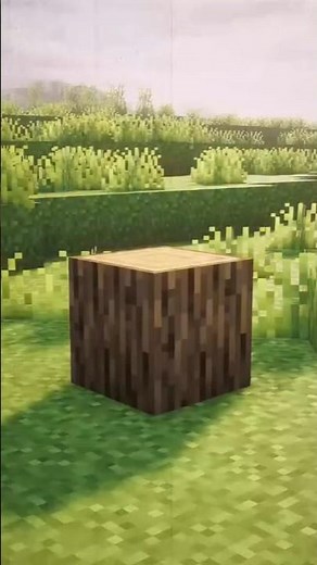 who is the best wood in Minecraft #minecraft #games