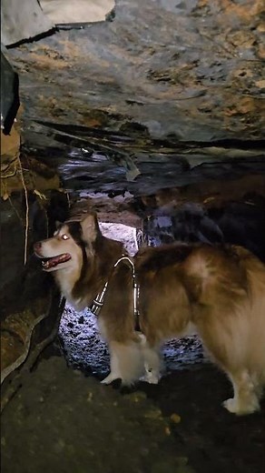 Digging Under a House to Replace a Sewer Line! 💪🚧 | Foundation & Plumbing Repair