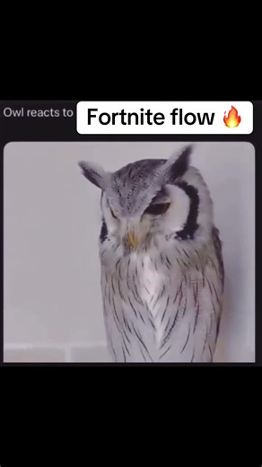 Mastering Fortnite Flow: Tips for Solo and Squad Play