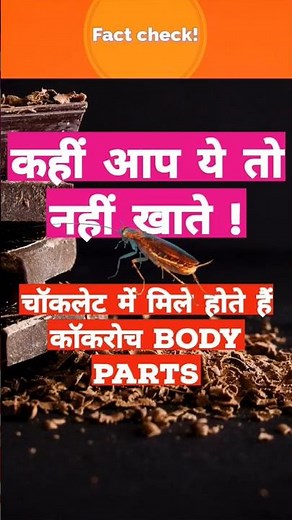 Does Chocolate contain cockroach body parts? #chocolate #facts