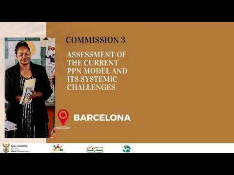 Commission 3: Assessment of The Current PPN Model and Its Systemic Challenges