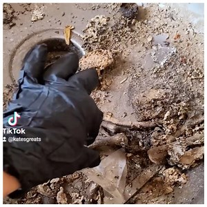 EXTREME Satisfying Filthy Kitchen DEEP Clean With Me | 5-Minute Crafts Green