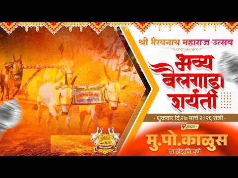 🔴Live:श्री भैरवनाथ महाराज उत्सव २०२६ || भव्य बैलगाडा शर्यत || पहिला दिवस || काळुस ता.खेड जि.पुणे