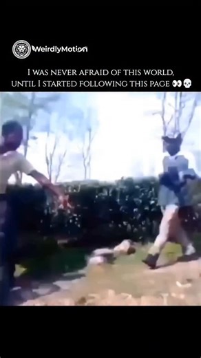 weirdlymotion on Instagram: "The King Cobra found on the island of Sumatra belongs to a distinct species lineage that was recently recognized by scientists. Here are the key details about the King Cobra in Sumatra: 🔬 Scientific Classification (The Sumatra Lineage) Original Name: For nearly two centuries, all King Cobras were classified as a single species, Ophiophagus hannah. Current Classification: Recent genetic and morphological studies have led to the King Cobra complex being reclassified i