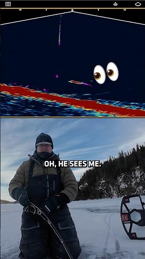 Watching Lake Trout in attack mode on MEGA Live 2 sure is exciting! 🤘 #MEGALive2