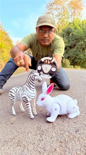 Rc Rabbit 🐇 And Rc Zebra 🦓 Unboxing
