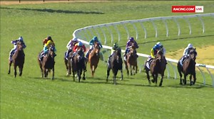Bottom Line salutes one debut, while Halogen misses a place. | Racing.com