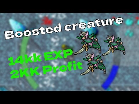14kk EXP 2kk Profit/H | Soul Broken-Harbinger Boosted creature in Tibia | Wintercourt