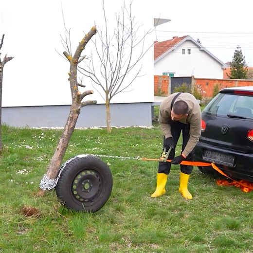 This is how a tree should be removed!! | Art & Sculpture