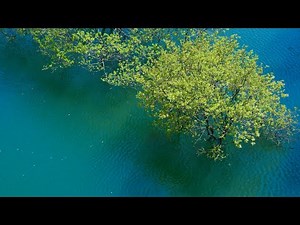 癒しの水景色 Healing water scenery 癒しの風景 水辺の絶景